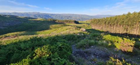 Terreno ideal para turísmo rural em Cabeceiras de Basto