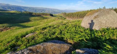 Terreno ideal para turísmo rural em Cabeceiras de Basto