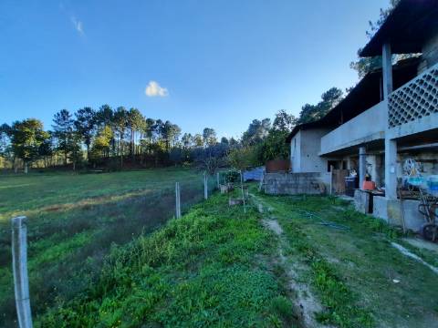 QUINTINHA COM CASA PARA RECUPERAR