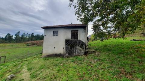 QUINTINHA COM CASA PARA RECUPERAR
