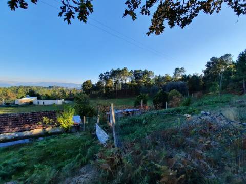 QUINTINHA COM CASA PARA RECUPERAR