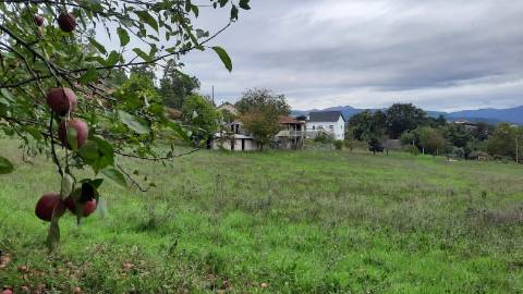 QUINTINHA COM CASA PARA RECUPERAR