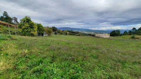 QUINTINHA COM CASA PARA RECUPERAR