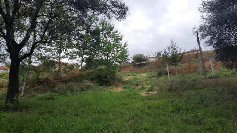 QUINTINHA COM CASA PARA RECUPERAR