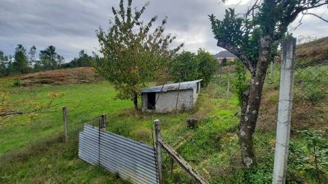 QUINTINHA COM CASA PARA RECUPERAR