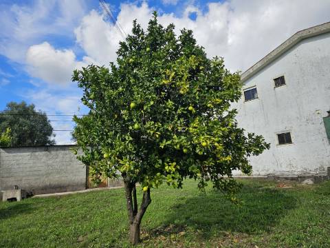 Moradia Bifamiliar T2 e T2, no Lugar da Cancela, próximo a Vila de Cabeceiras de Basto