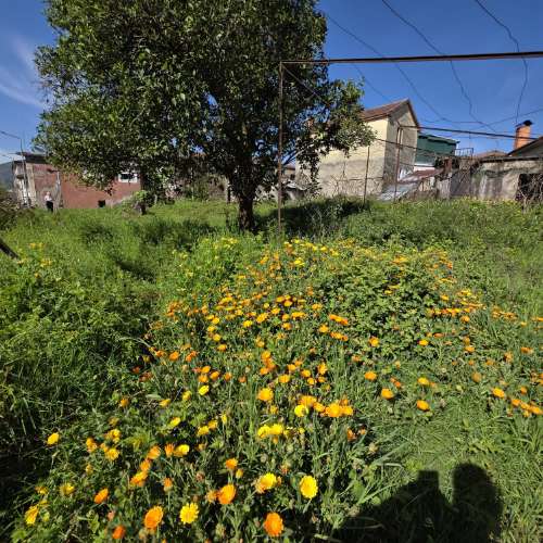 Moradia com projeto aprovado para 10 apartamentos, no Centro da Vila de Cabeceiras de Basto