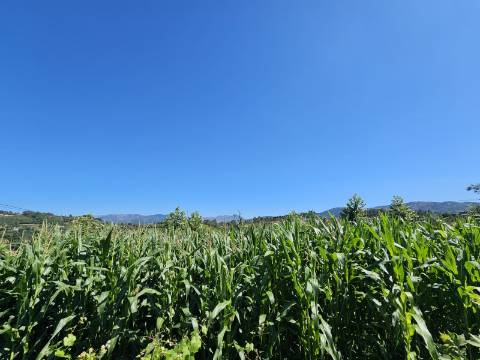 Moradia para restauro em Outeirinho, Cabeceiras de Basto