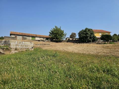 Quinta com Moradia T4 em Leiradas, Rio Douro - Cabeceiras de Basto