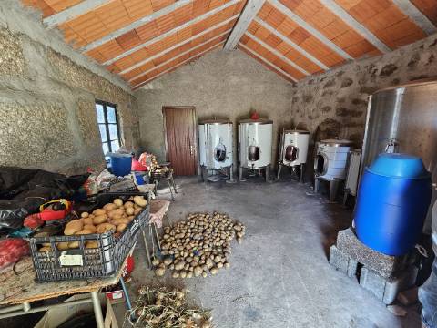 Quinta com Moradia T4 em Leiradas, Rio Douro - Cabeceiras de Basto