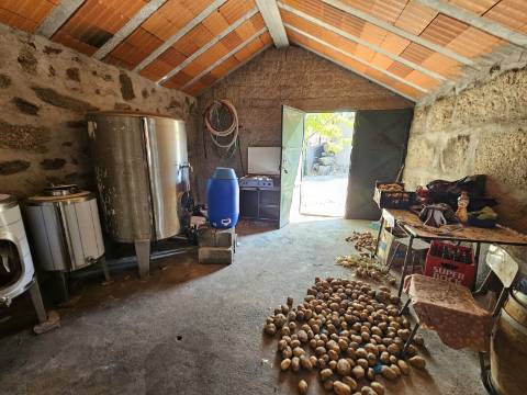 Quinta com Moradia T4 em Leiradas, Rio Douro - Cabeceiras de Basto