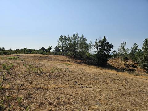 Quinta com Moradia T4 em Leiradas, Rio Douro - Cabeceiras de Basto