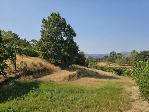 Quinta com Moradia T4 em Leiradas, Rio Douro - Cabeceiras de Basto