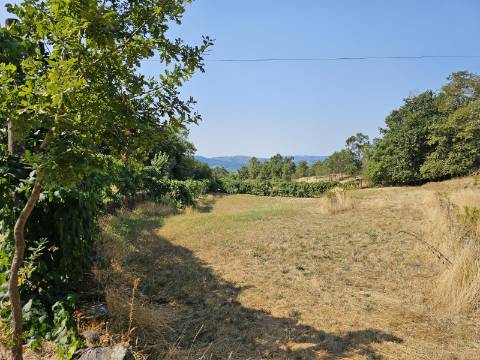 Quinta com Moradia T4 em Leiradas, Rio Douro - Cabeceiras de Basto