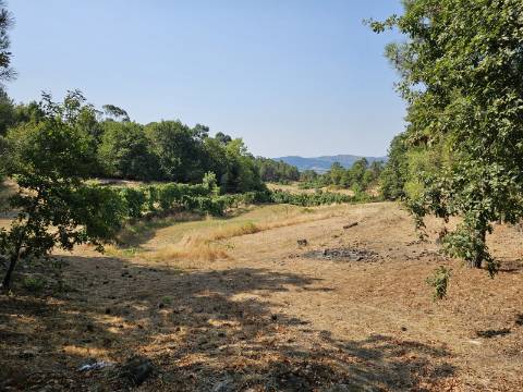 Quinta com Moradia T4 em Leiradas, Rio Douro - Cabeceiras de Basto