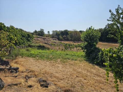 Quinta com Moradia T4 em Leiradas, Rio Douro - Cabeceiras de Basto