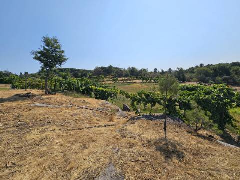 Quinta com Moradia T4 em Leiradas, Rio Douro - Cabeceiras de Basto