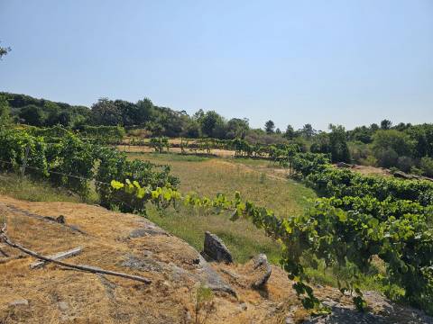 Quinta com Moradia T4 em Leiradas, Rio Douro - Cabeceiras de Basto