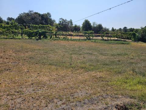 Quinta com Moradia T4 em Leiradas, Rio Douro - Cabeceiras de Basto