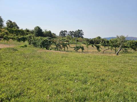 Quinta com Moradia T4 em Leiradas, Rio Douro - Cabeceiras de Basto
