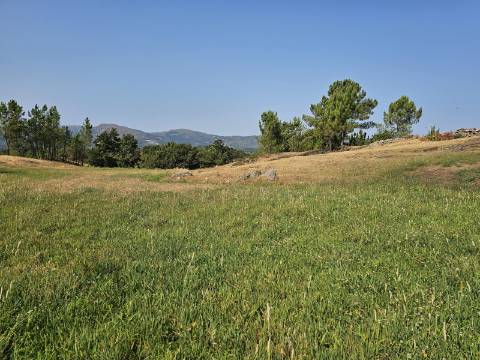 Quinta com Moradia T4 em Leiradas, Rio Douro - Cabeceiras de Basto