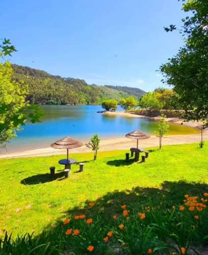 Terreno com 1ha, em Boelhe, Penafiel