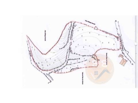 Terreno com 1ha, em Boelhe, Penafiel