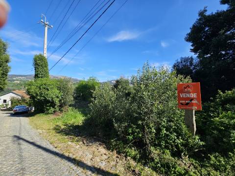 Terreno com 1ha, em Boelhe, Penafiel