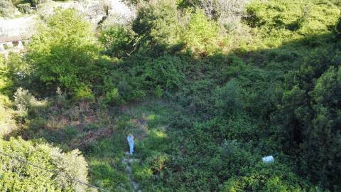 Terreno com 1ha, em Boelhe, Penafiel