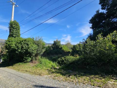 Terreno com 1ha, em Boelhe, Penafiel