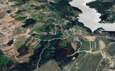 Terreno com 1ha, em Boelhe, Penafiel