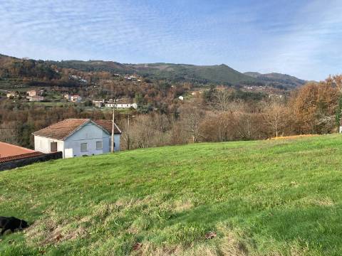 Moradia em Pedra com Vista Deslumbrante - Rio Douro, Cabeceiras de Basto