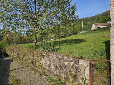 Moradia em Pedra~para restauro com Vista Deslumbrante - Rio Douro, Cabeceiras de Basto