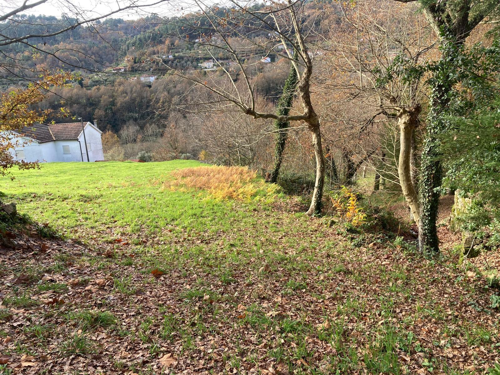 Ruína em Pedra com Vista Deslumbrante - Rio Douro, Cabeceiras de Basto