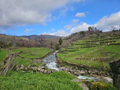 Moradia de 3 Pisos para Venda - Moimenta, Cabeceiras de Basto