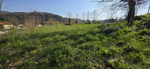 Terreno com projeto aprovado, em Petimão, Cabeceiras de Basto.
