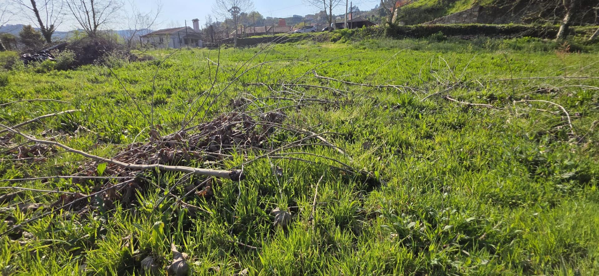 Terreno com projeto aprovado, em Petimão, Cabeceiras de Basto.

