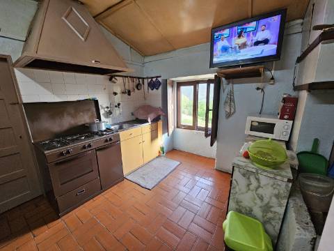 Moradia T4, em pedra, com terreno de 2.366 m² e Espigueiro datado de 1933 - Cerva, Ribeira de Pena