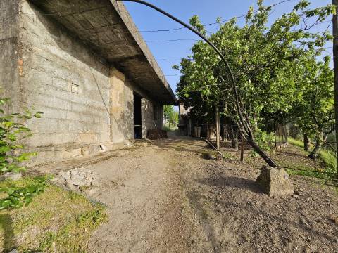 Moradia T4, em pedra, com terreno de 2.366 m² e Espigueiro datado de 1933 - Cerva, Ribeira de Pena