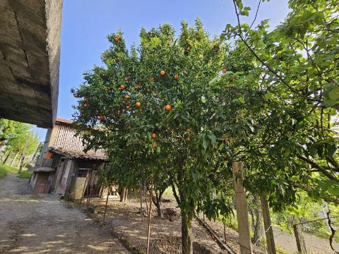 Moradia T4, em pedra, com terreno de 2.366 m² e Espigueiro datado de 1933 - Cerva, Ribeira de Pena