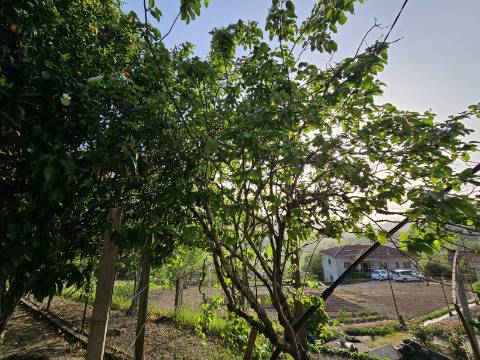 Moradia T4, em pedra, com terreno de 2.366 m² e Espigueiro datado de 1933 - Cerva, Ribeira de Pena