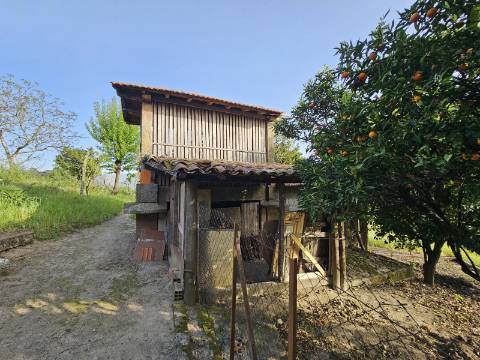 Moradia T4, em pedra, com terreno de 2.366 m² e Espigueiro datado de 1933 - Cerva, Ribeira de Pena