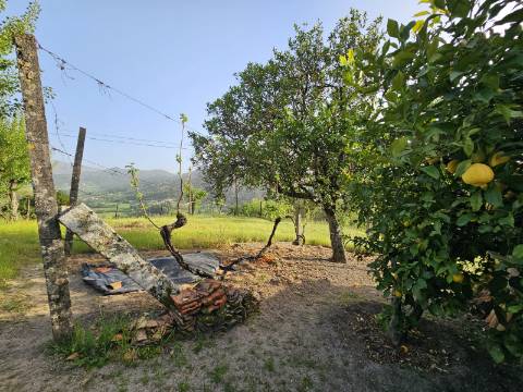 Moradia T4, em pedra, com terreno de 2.366 m² e Espigueiro datado de 1933 - Cerva, Ribeira de Pena