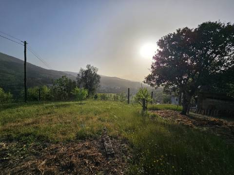 Moradia T4, em pedra, com terreno de 2.366 m² e Espigueiro datado de 1933 - Cerva, Ribeira de Pena