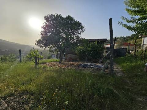 Moradia T4, em pedra, com terreno de 2.366 m² e Espigueiro datado de 1933 - Cerva, Ribeira de Pena