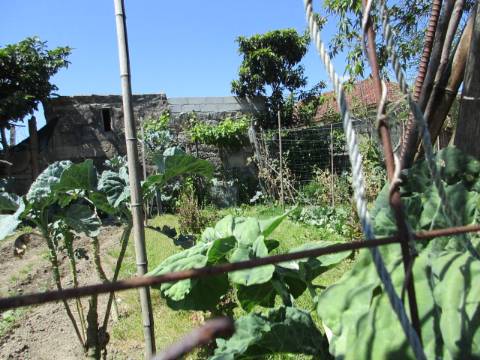 TERRENO Urbano ERMESINDE Centro