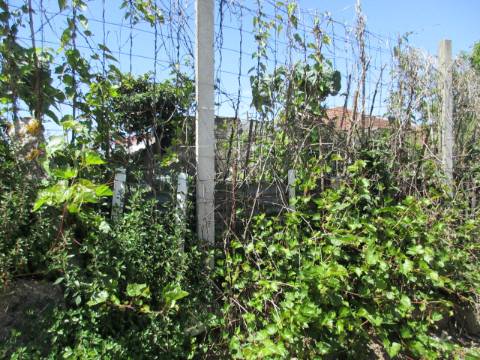 TERRENO Urbano ERMESINDE Centro