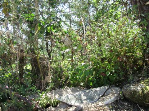 TERRENO Urbano ERMESINDE Centro