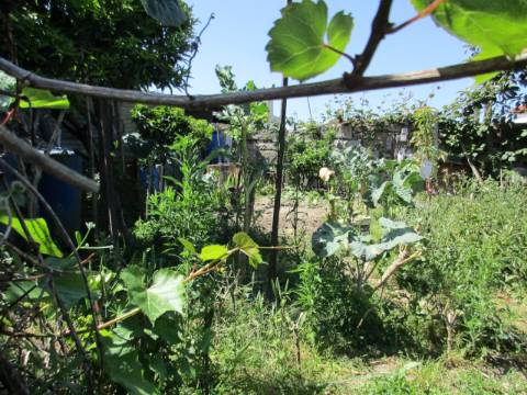 TERRENO Urbano ERMESINDE Centro