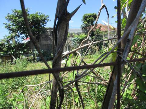 TERRENO Urbano ERMESINDE Centro